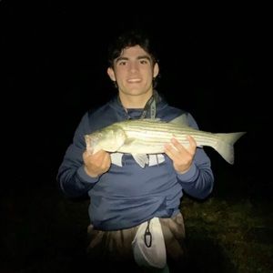 Meet your Posher, Harry